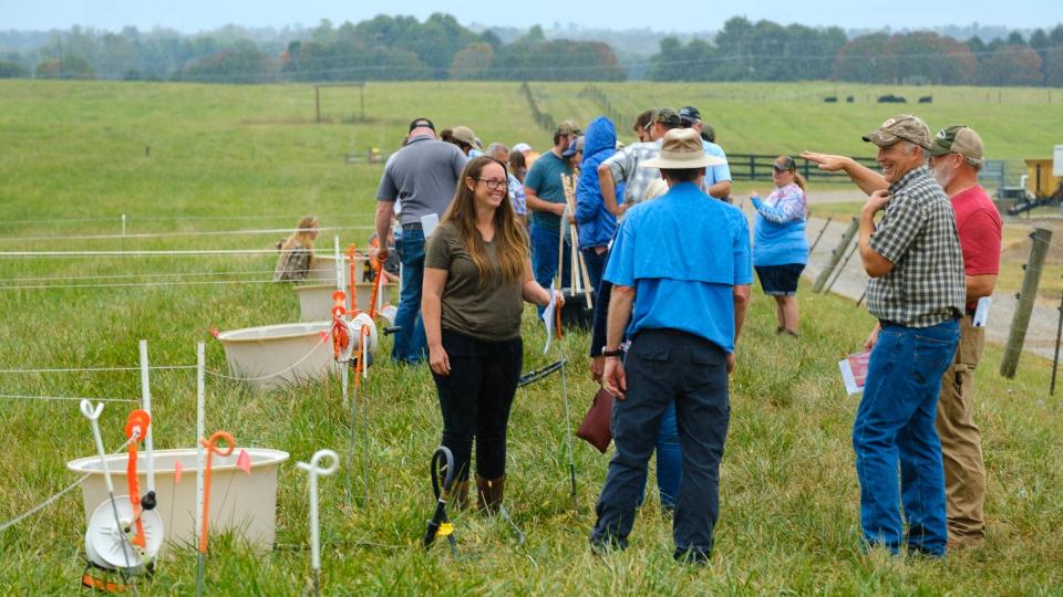 grazing school