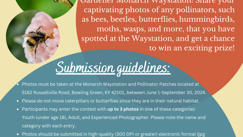 pollinator photo contest 